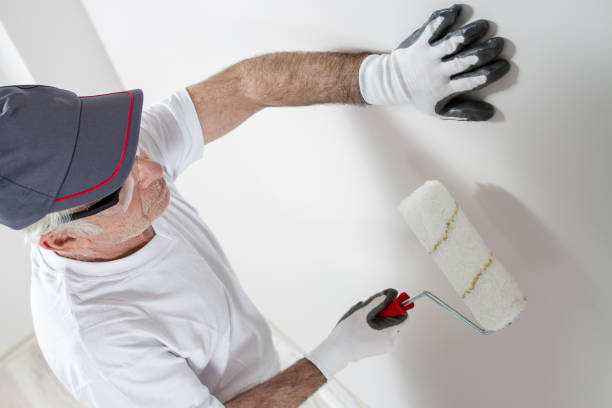  La Grange, IL Mold Removal Pros