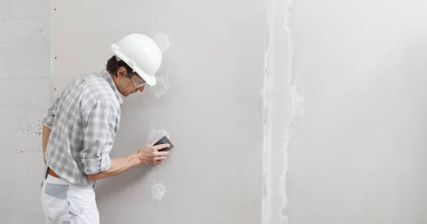 Best Mold Damage Restoration  in La Grange, IL