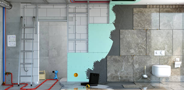 Best Mold Odor Removal Services  in La Grange, IL