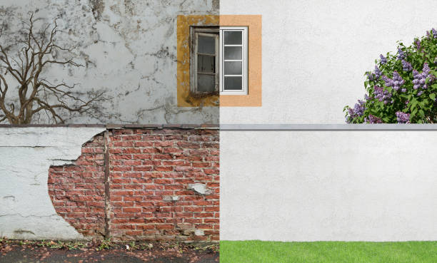 Best Mold Documentation for Insurance Claims  in La Grange, IL